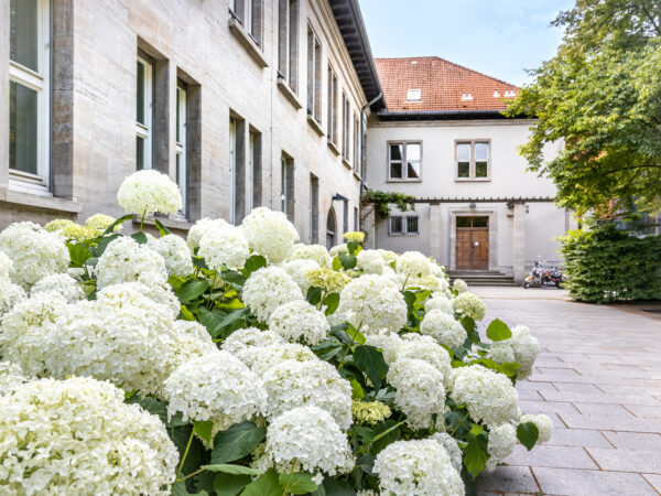 Jesuiten Canisius Kolleg Berlin